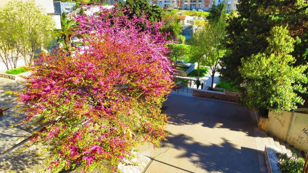 Apartment Priska Split Pokój zdjęcie